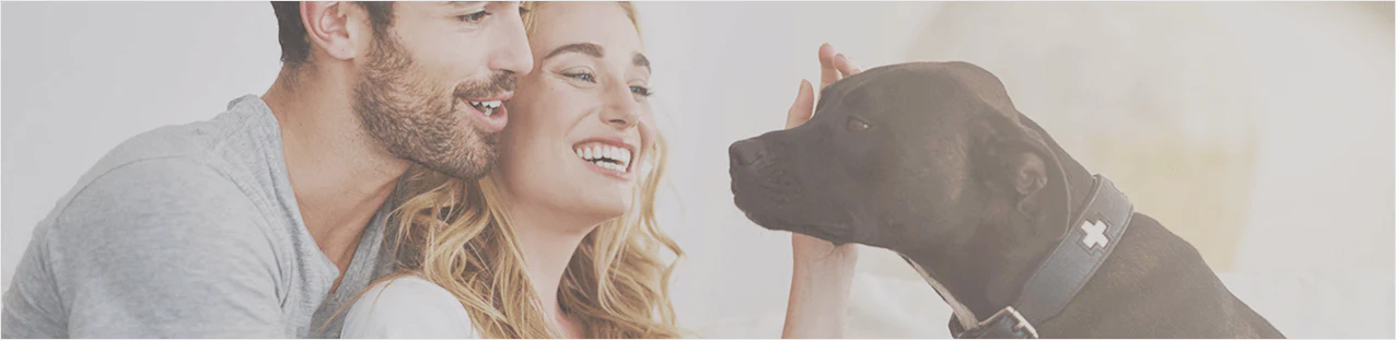 Expert Gear for Happy Dogs